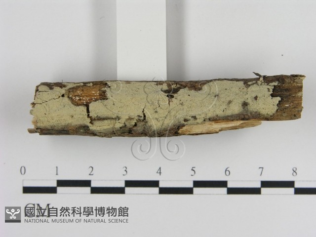 登錄號:F0000068藏品圖，第3張