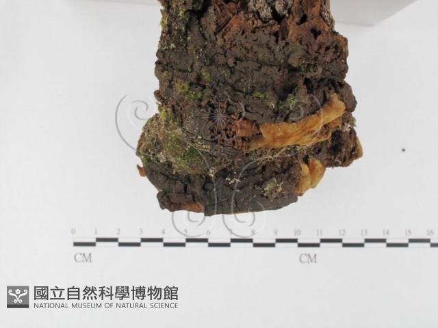 登錄號:F0026068藏品圖，第3張