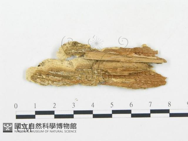 登錄號:F0006068藏品圖，第3張