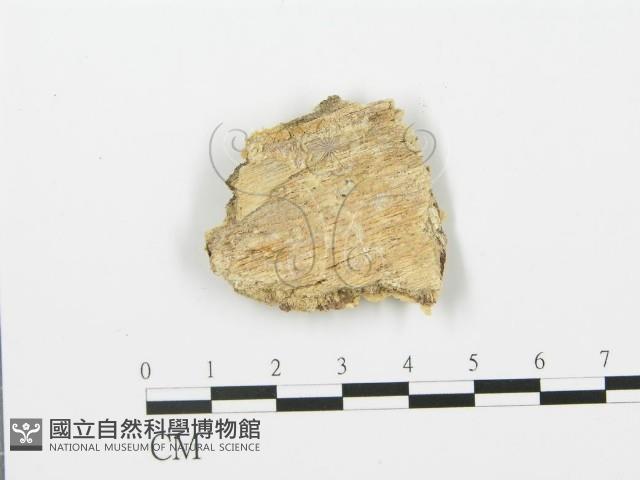 登錄號:F0006368藏品圖，第3張