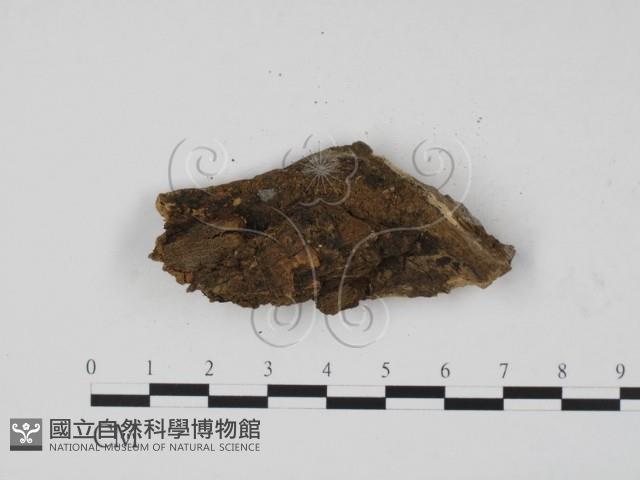 登錄號:F0010228藏品圖，第3張