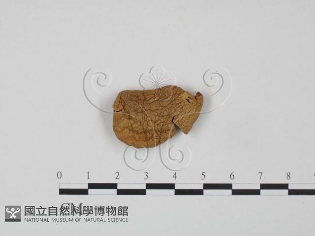 登錄號:F0016228藏品圖，第3張