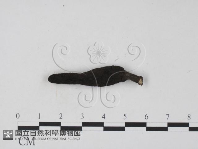 登錄號:F0002228藏品圖，第3張