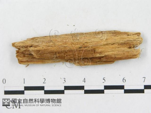 登錄號:F0017828藏品圖，第3張