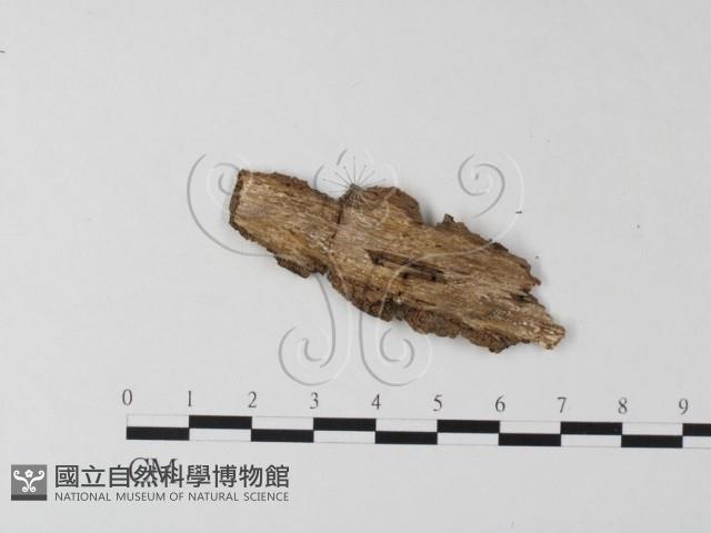 登錄號:F0020928藏品圖，第3張
