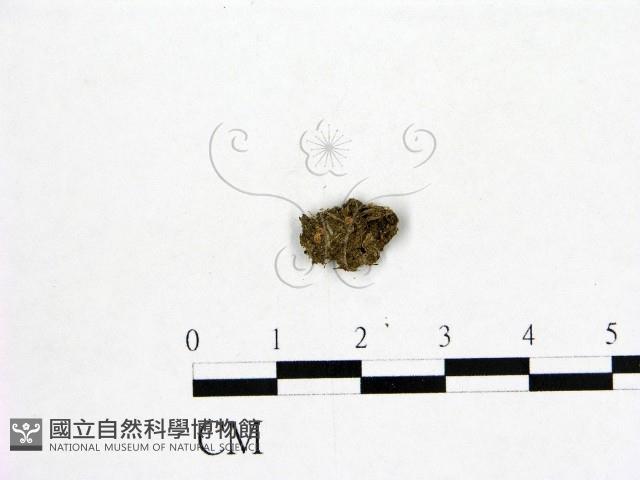 登錄號:F0001928藏品圖，第3張