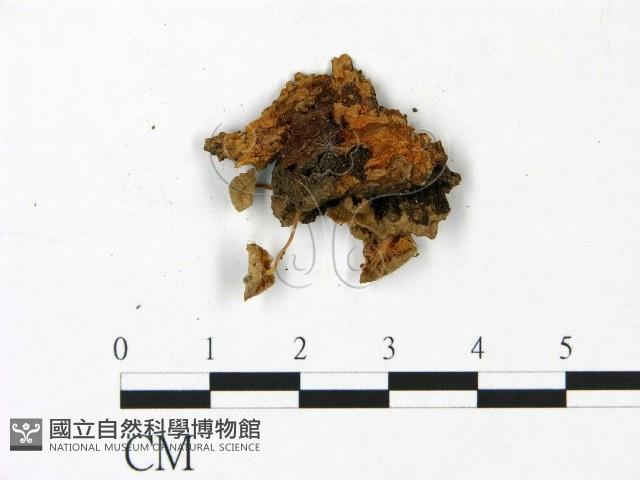 登錄號:F0022928藏品圖，第3張