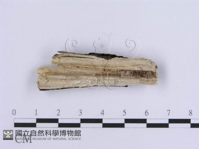 登錄號:F0017928藏品圖，第3張