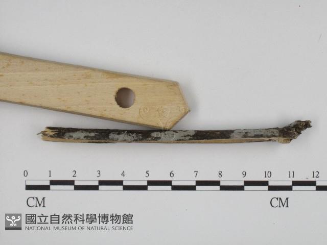 登錄號:F0003928藏品圖，第3張