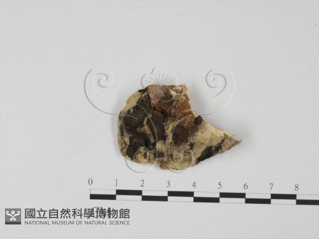 登錄號:F0006628藏品圖，第3張