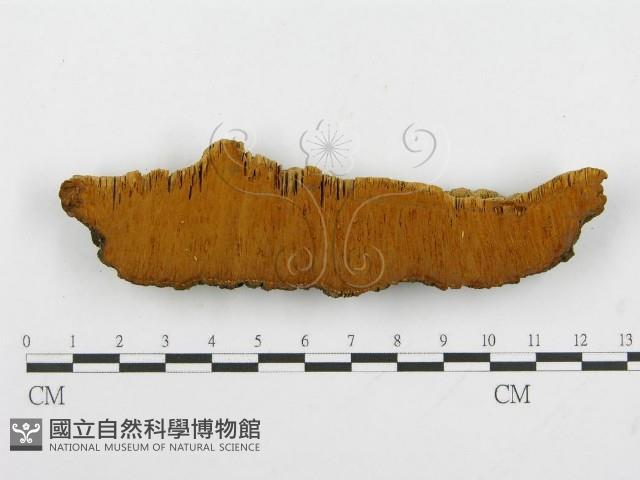 登錄號:F0004628藏品圖，第3張