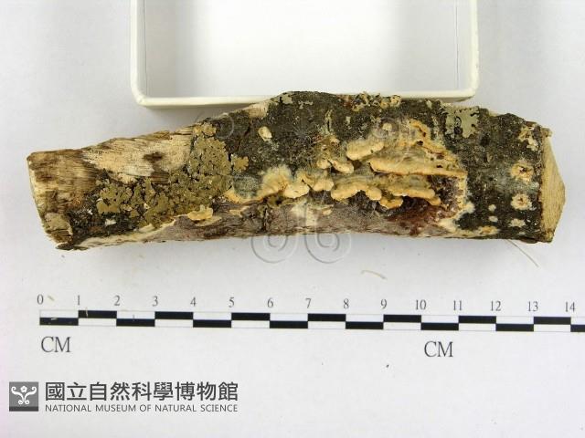 登錄號:F0002428藏品圖，第3張