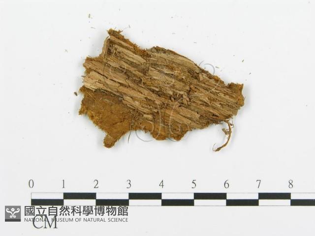 登錄號:F0009428藏品圖，第3張