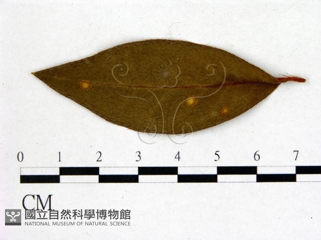 登錄號:F0020728藏品圖，第3張