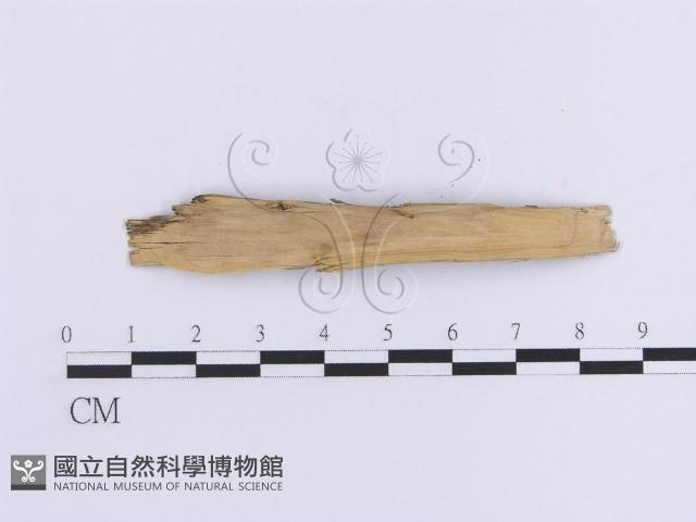登錄號:F0016728藏品圖，第3張