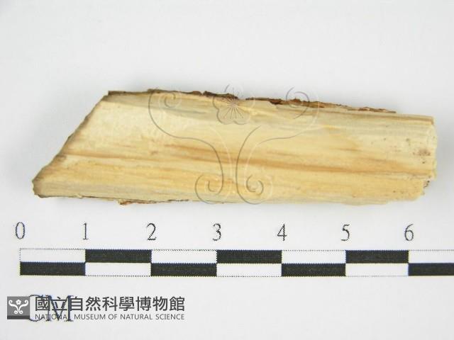 登錄號:F0002728藏品圖，第3張