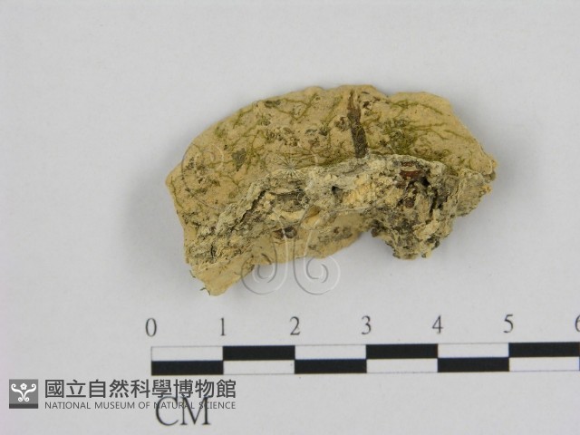 登錄號:F0006528藏品圖，第3張