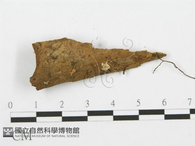 登錄號:F0007528藏品圖，第3張