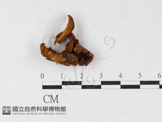 登錄號:F0027128藏品圖，第3張
