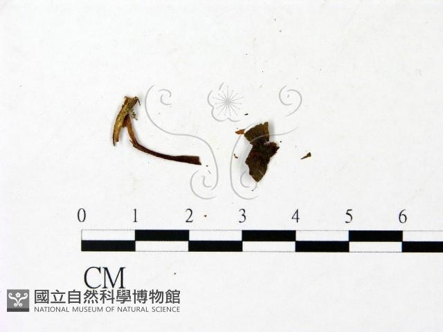 登錄號:F0023028藏品圖，第3張