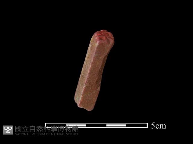 印章藏品圖，第3張