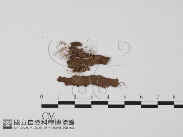 登錄號:F0022328藏品圖，第3張