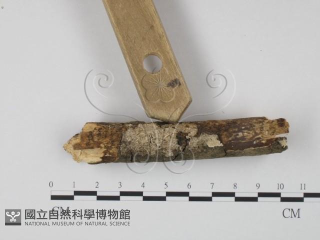 登錄號:F0022208藏品圖，第3張