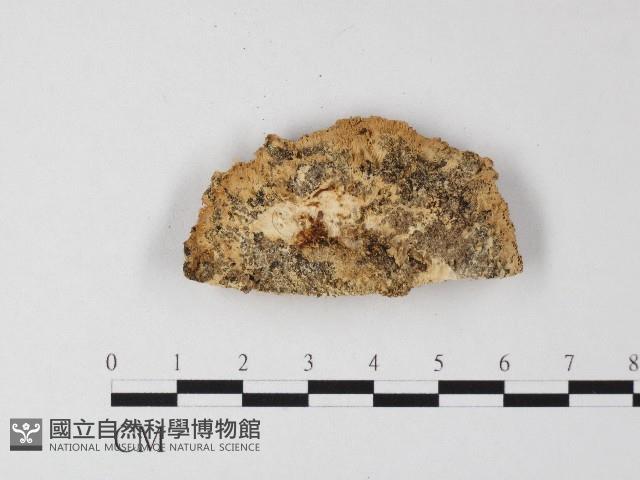 登錄號:F0006808藏品圖，第3張