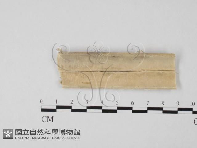 登錄號:F0015808藏品圖，第3張