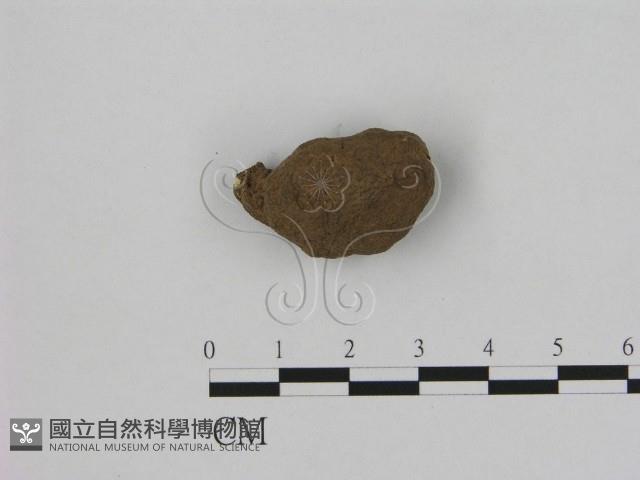 登錄號:F0008908藏品圖，第3張