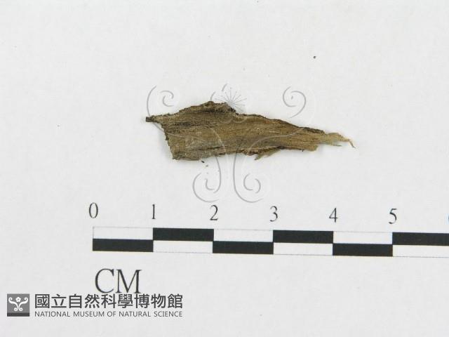 登錄號:F0007908藏品圖，第3張