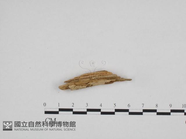 登錄號:F0003608藏品圖，第3張