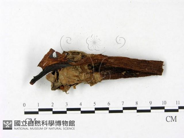 登錄號:F0023408藏品圖，第3張