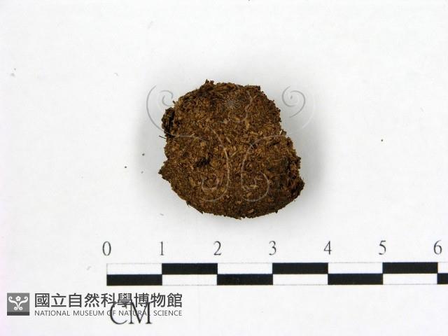 登錄號:F0000708藏品圖，第3張