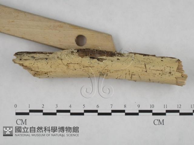 登錄號:F0024708藏品圖，第3張
