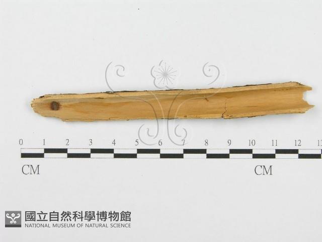 登錄號:F0001508藏品圖，第3張