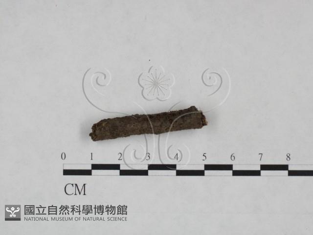 登錄號:F0025218藏品圖，第3張