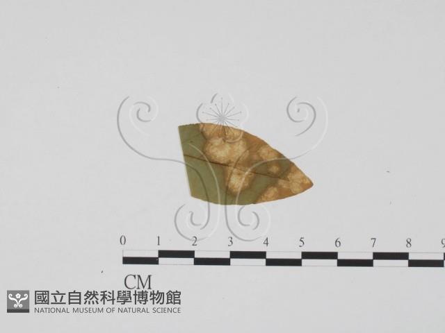 登錄號:F0011818藏品圖，第3張