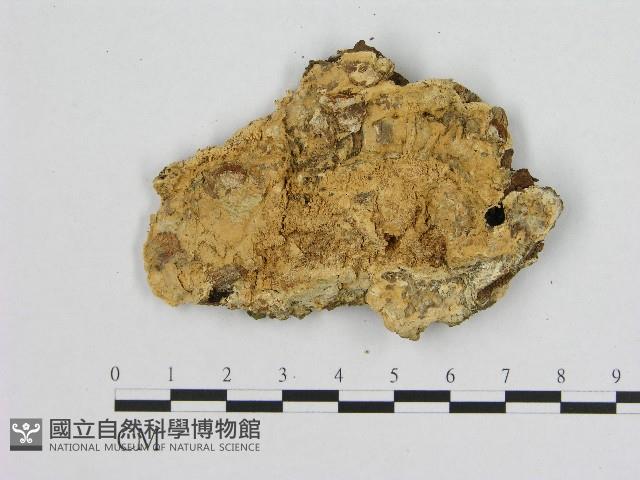 登錄號:F0004618藏品圖，第3張