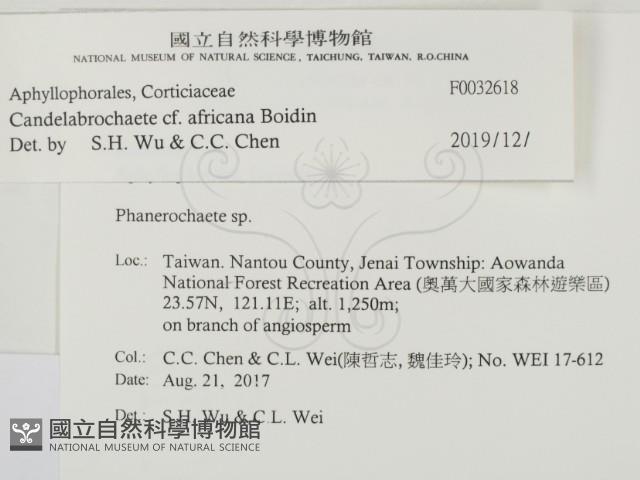 登錄號:F0032618藏品圖，第3張