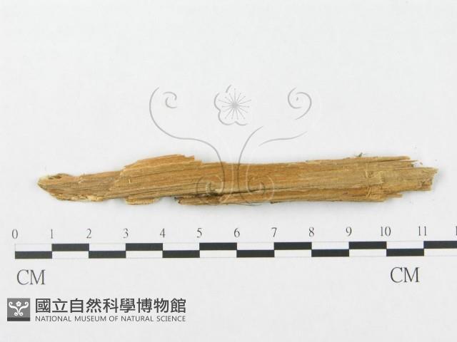 登錄號:F0009618藏品圖，第3張