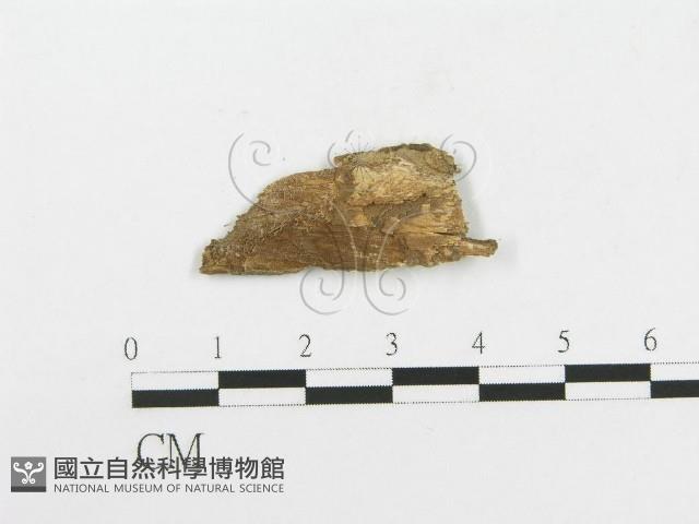 登錄號:F0020418藏品圖，第3張
