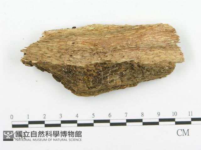 登錄號:F0010418藏品圖，第3張
