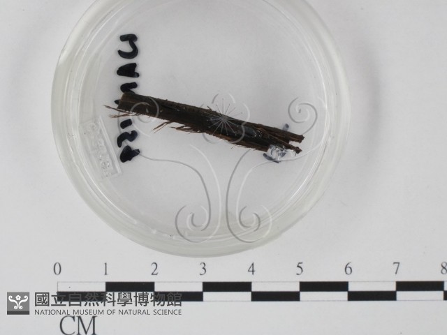 登錄號:F0003418藏品圖，第3張