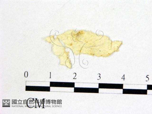 登錄號:F0000718藏品圖，第3張