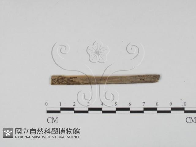 登錄號:F0011718藏品圖，第3張