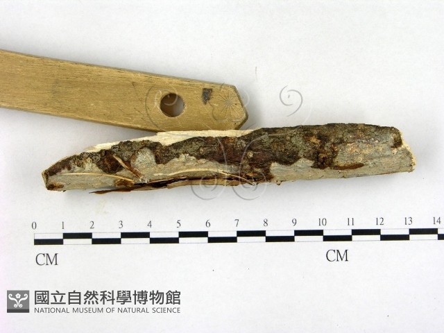 登錄號:F0022718藏品圖，第3張