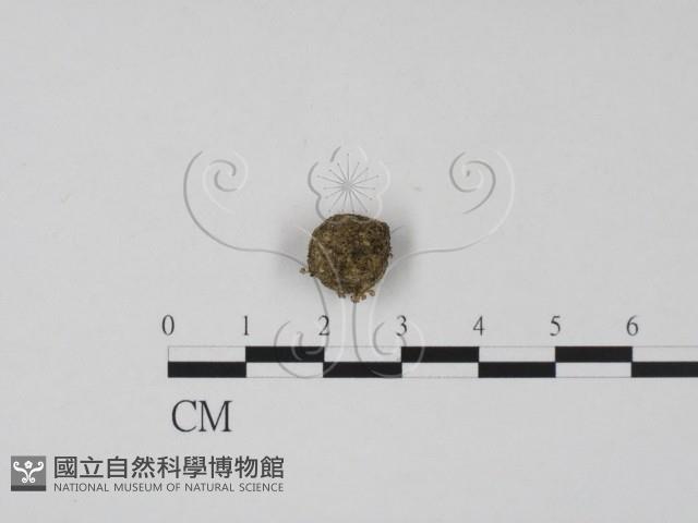 登錄號:F0005718藏品圖，第3張