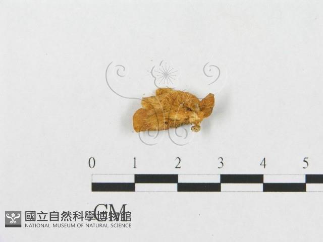 登錄號:F0003718藏品圖，第3張