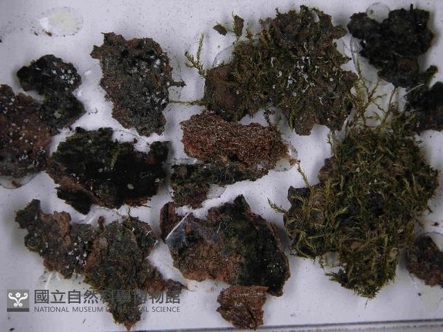 登錄號:F0021518藏品圖，第3張